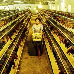 ������ʮ���� �ܽ������̡����·ܽ����¾� ������չ�����ˡ���������������2021�깤 ...