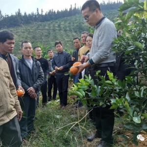 ������ֲ�ܻ����� �ٽ�ˮ���߲�ũ������