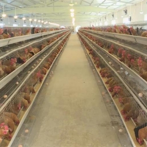 �߰�Ū�����������ӡ�Χ�ۡ�