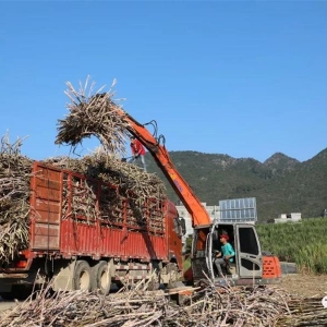 ���������ҵΪȺ�ڴ�����������