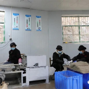 ��������ˡ�ʤ���壺��ź��˿�������������