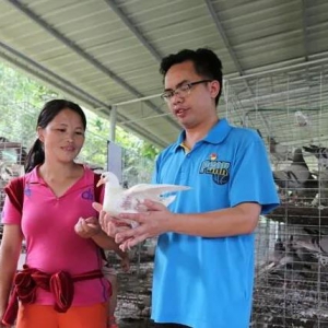 ף�أ���һ��������׽조ȫ��������������ȷ桱�ƺ�