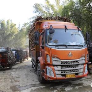 ����ط���Ⱥ�ڹ�����������