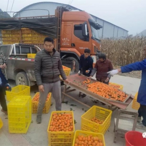 ���ع������翪չ���������������ǡ��