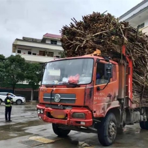 ����������ƽ����г������ɫ����