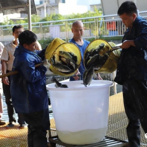 ������������� ��ЭίԱ���ж������ˣ��ƽ���ҵת������ �����������