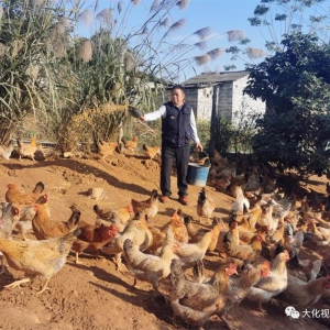 ������������� ��ЭίԱ���ж��������ˣ����߰�Ū����ҵ�� ����� �����