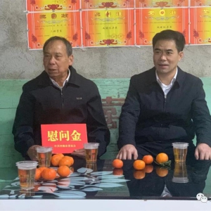 �ӳ����쵼���󻯿�չ����ο�ʻ