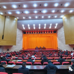 �����ٿ�������˹���������Ƶ��