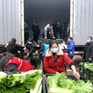 ���´��߻��㡿�󻯣��������߲�ϲ����� ��ҵ����������������