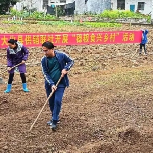 ���ع������磺���߲�����������