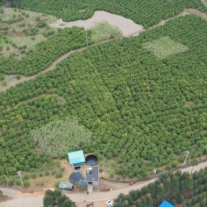 ������������� ��ЭίԱ���ж�����ЭίԱ��������չ���������� �����������