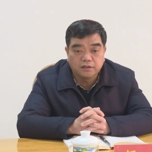 ������֯�ٿ����������