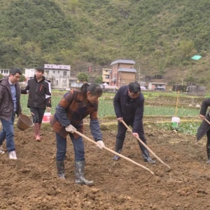 ���������㿪չ����ʵ������ƽ����ȫ������