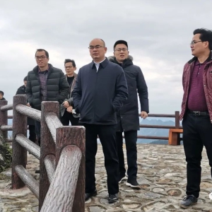 ���쵼���󻯵������β�ҵ����