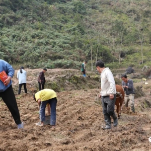 ������ز����� ����ͷ����æ