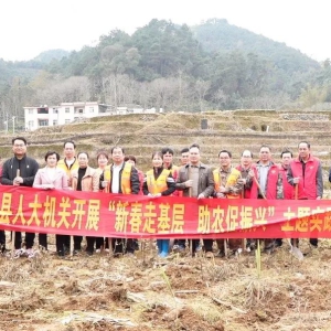 �������������˴�ί����֯��չ����ʵ���