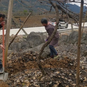 �Ƽ�����ٴ���