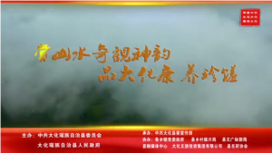 ����ζ�� ��̬�� �����󻯡�ϵ��������½���Ƴ��������ڴ���