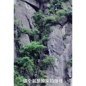 30�룬�����˽���ЭίԱ�������չʾ�ġ����ݡ�