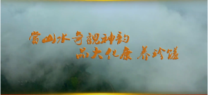 �����ڴ���