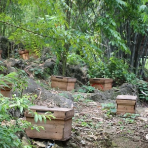 �����ǵ���ʱ������ƶ��¬���޵���������