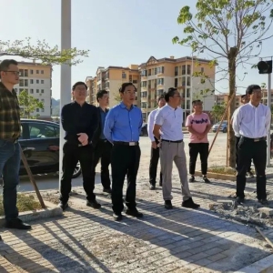 �����½�ѧУѡַ�滮������