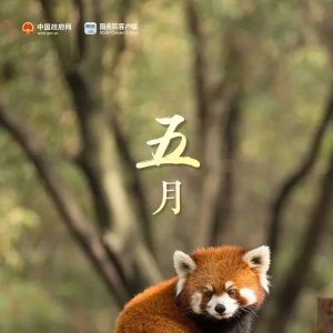 ����������Ϯ����һ����5�죡