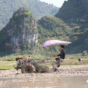 �󻯣����������� �絾�Բ�æ