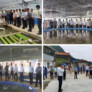 ȫ���ִ���ҵ��չ�ֳ��ƽ����ٿ����ͷ�����Щ�źţ�