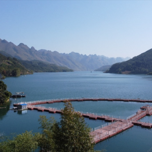 ����������ж�������󻯣�ǧɽ��Ū��ҵ�� ��ͷ�չ��ͼ��