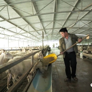 ��������ˡ���ƶ�����ſھ�ҵ �ȶ�������