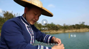 ��ζ�� ����˿���