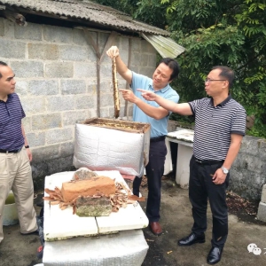 ����������������������������ҵ ��������ٷ�չ