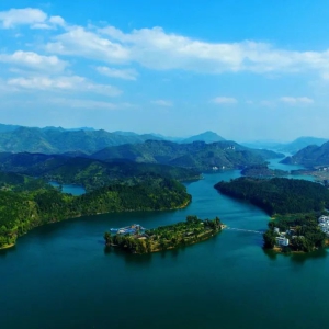 �����ˣ�����ѡ2022�������й� �����С��Ԥ������