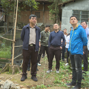 ������������Ū������д�ͳ��Ӿ�ס��ȫ��������