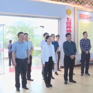 �����п����鵽�󻯵��в�ҵ��չ����