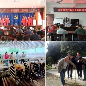 ��ȫ����ĸ�󻯴����ƽ�������ල����վ�������ַ��ӻ���ල���t���ڡ�����