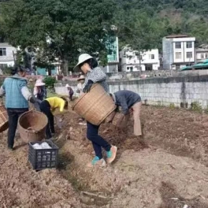 ��������ˡ���ѧ��ʦ�����δ�� ��ֲ�����������������