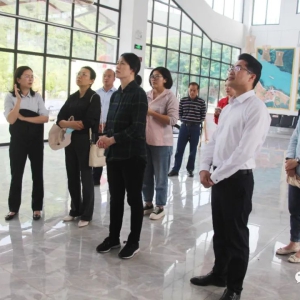 ���쵼����̲�򶽵����д�������4A��������