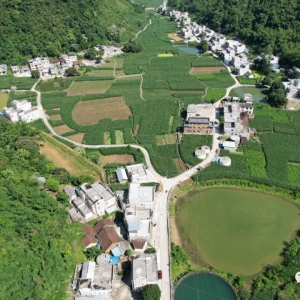 ���ܽ������� ������ʱ����������ò���������ﻻ����