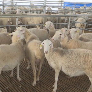 �󻯣��Ȳ�ҵ�پ�ҵ ����������ˡ������ܡ�