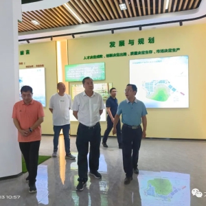 �Ӻ��յ��󻯵��в�ҵ��չ����