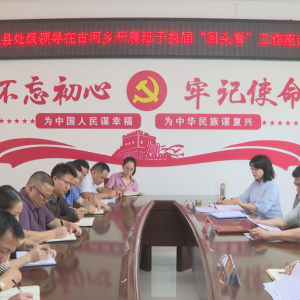 �������ź��翪չ�磨���쵼���ӻ��조��ͷ��������