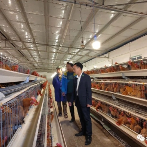 ���ܶ��ߡ����ഺ���󻯣���ҵ��չ�е��ഺ����