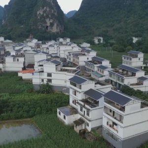 ��������ˡ��󻯣�����ò����� �˾ӻ�������ֵ����