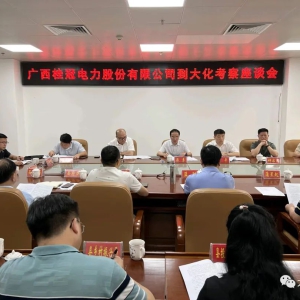 ��������ˡ�������ڵ����ɷ����޹�˾�����鵽�󻯿���