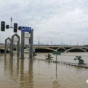 ����6��ǿ�������Ӧ�ԣ�ֱ��������Ѵ����һ��