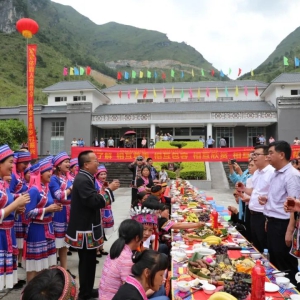 �󻯾��С������л����干ͬ����ʶ���������ʵ���