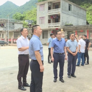 ���쵼���󻯵���������˹���